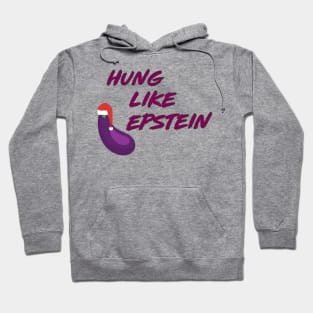 Funny hung like epstein santa christmas Hoodie